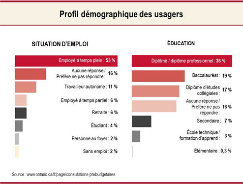 Profil démographique des usagers graphique
